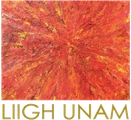 LIIGH UNAM